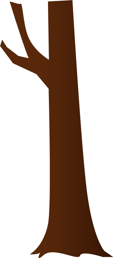 Bush